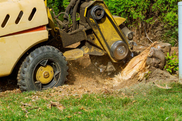 Best Artificial Turf Installation  in Coronado, CA